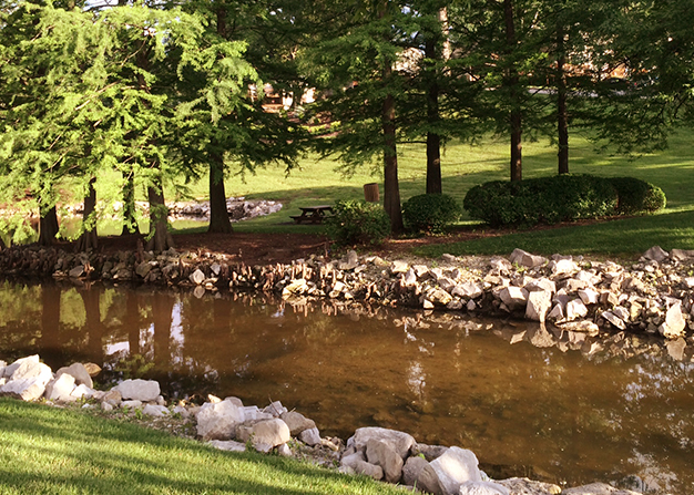 Stream to Lake